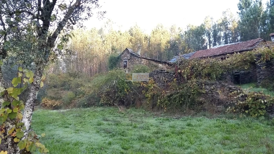 Terreno para Venda em Tropeço Foto 43
