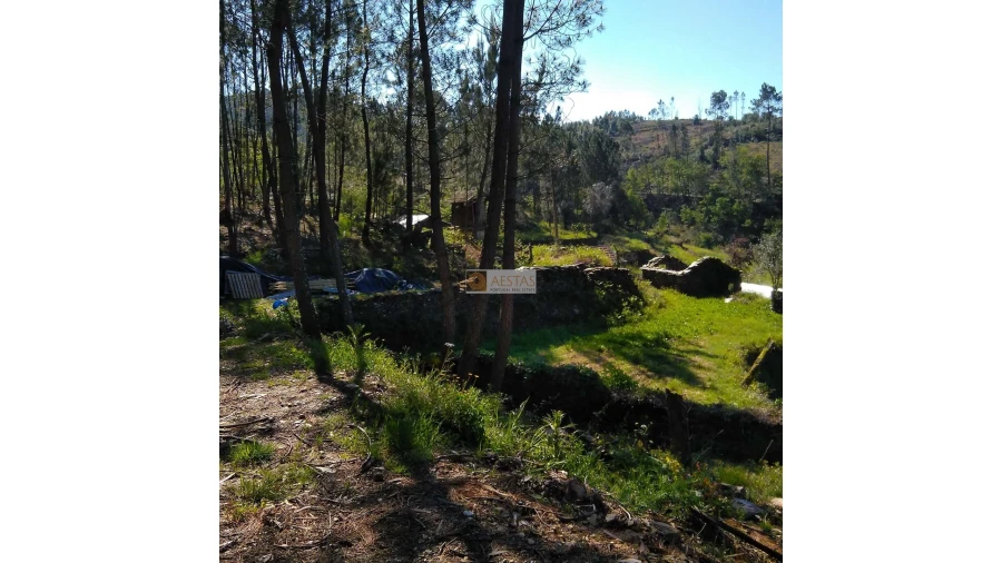 Terreno para Venda em Tropeço Foto 78