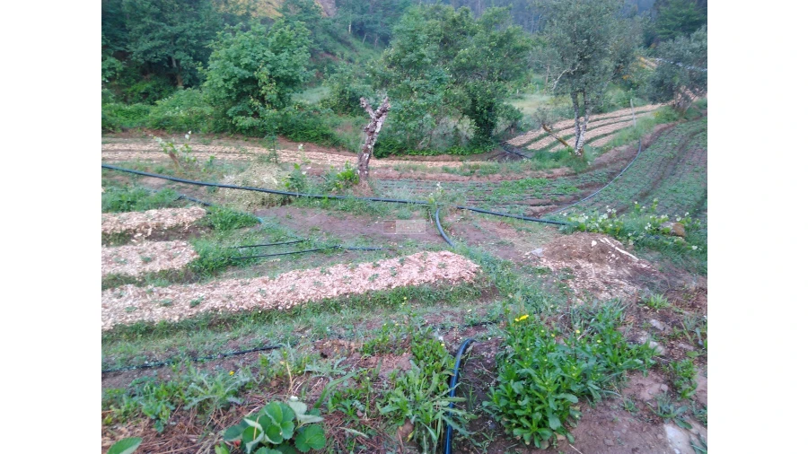 Terreno para Venda em Tropeço Foto 49