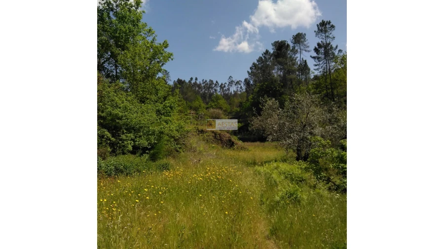Terreno para Venda em Tropeço Foto 149