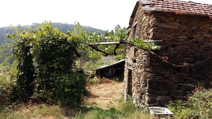 Terreno para Venda em Tropeço Foto 40