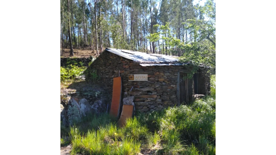 Terreno para Venda em Tropeço Foto 86