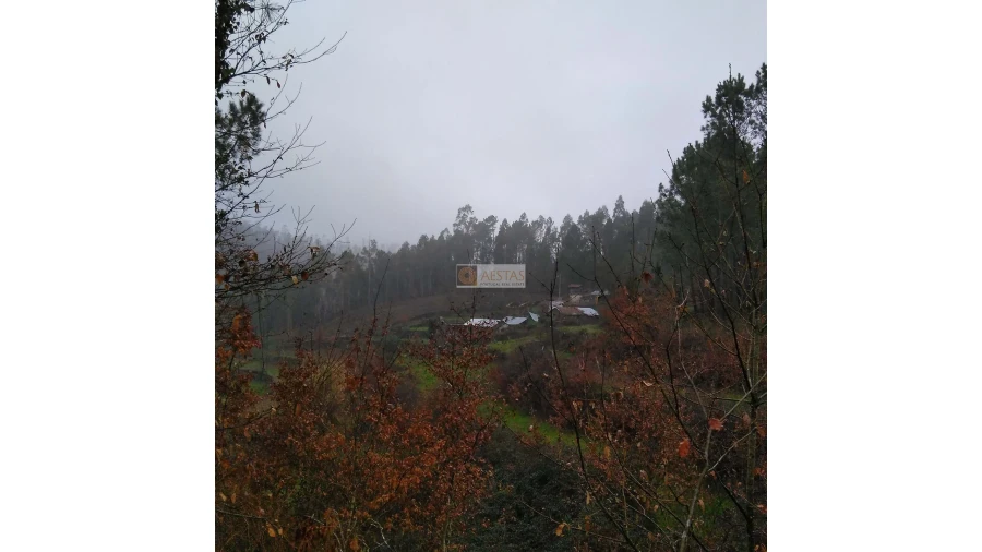 Terreno para Venda em Tropeço Foto 55