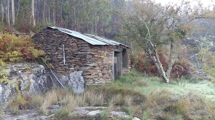 Terreno para Venda em Tropeço Foto 41