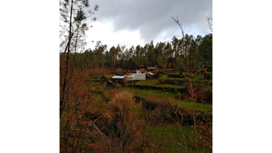 Terreno para Venda em Tropeço Foto 71