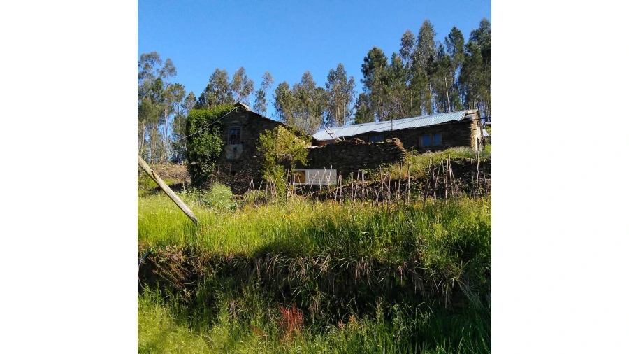 Terreno para Venda em Tropeço Foto 109