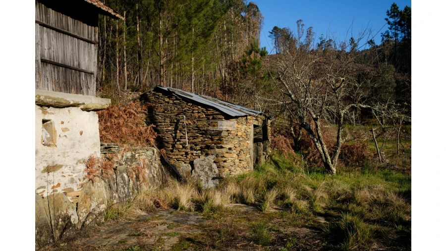 Terreno para Venda em Tropeço Foto 5