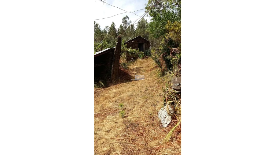 Terreno para Venda em Tropeço Foto 38