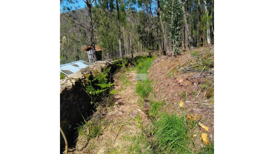 Terreno para Venda em Tropeço Foto 92