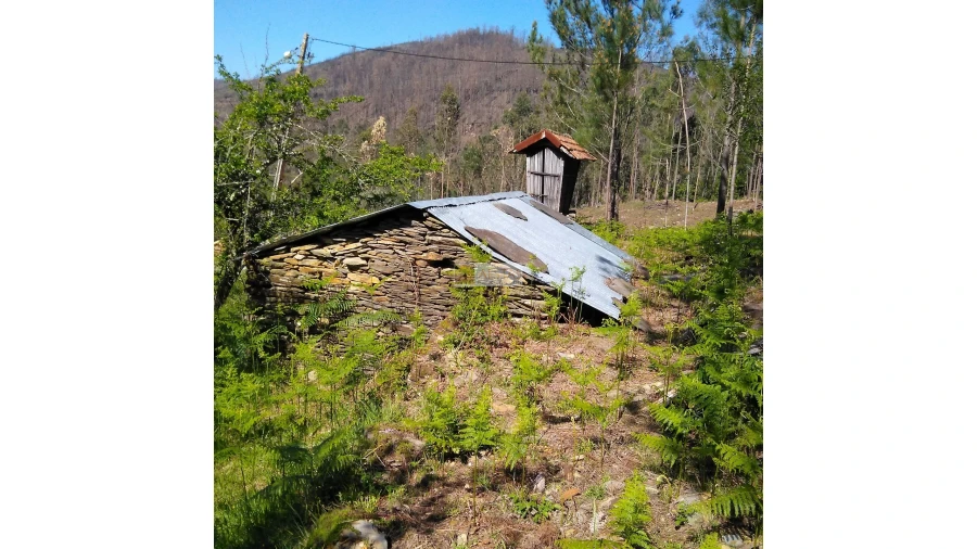 Terreno para Venda em Tropeço Foto 89