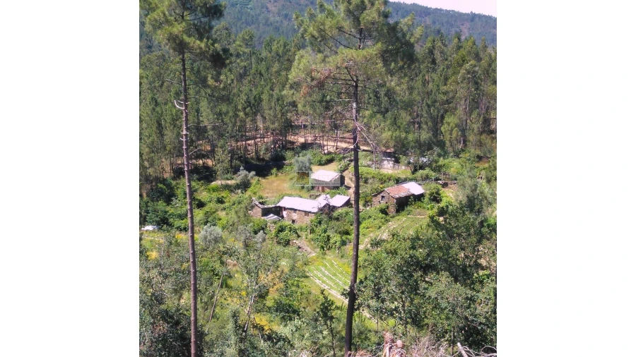 Terreno para Venda em Tropeço Foto 53