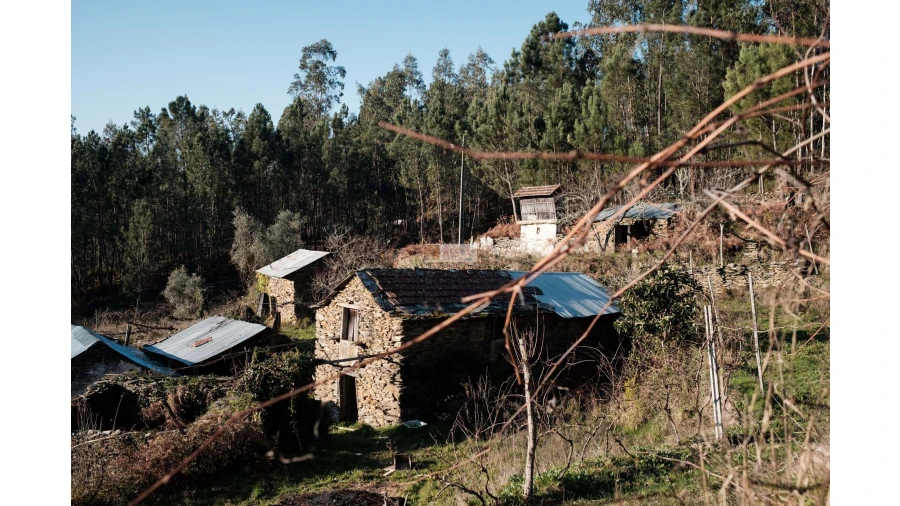 Terreno para Venda em Tropeço Foto 11