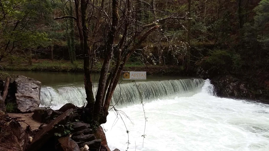 Terreno para Venda em Tropeço Foto 25