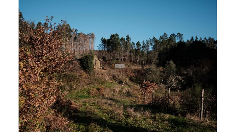 Terreno para Venda em Tropeço Foto 23