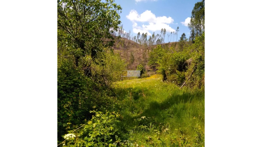 Terreno para Venda em Tropeço Foto 136