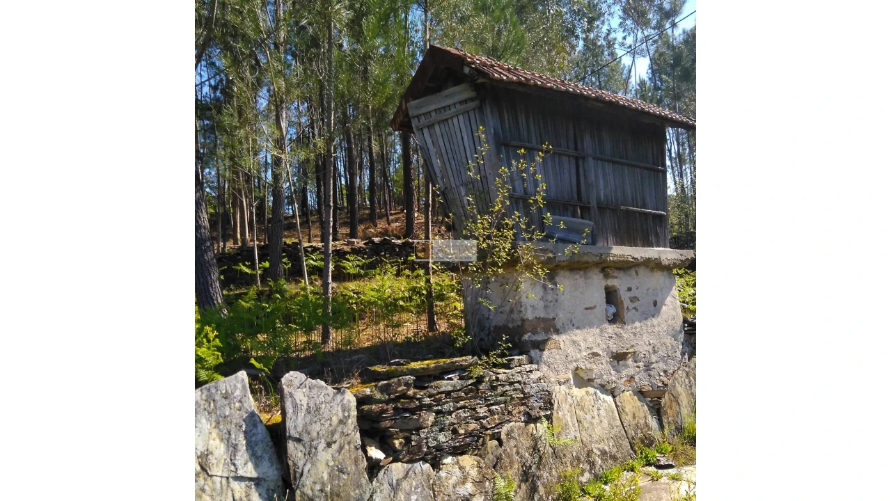 Terreno para Venda em Tropeço Foto 84