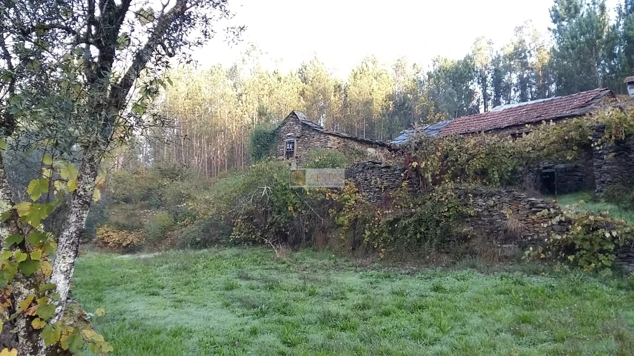 Terreno para Venda em Tropeço Foto 43