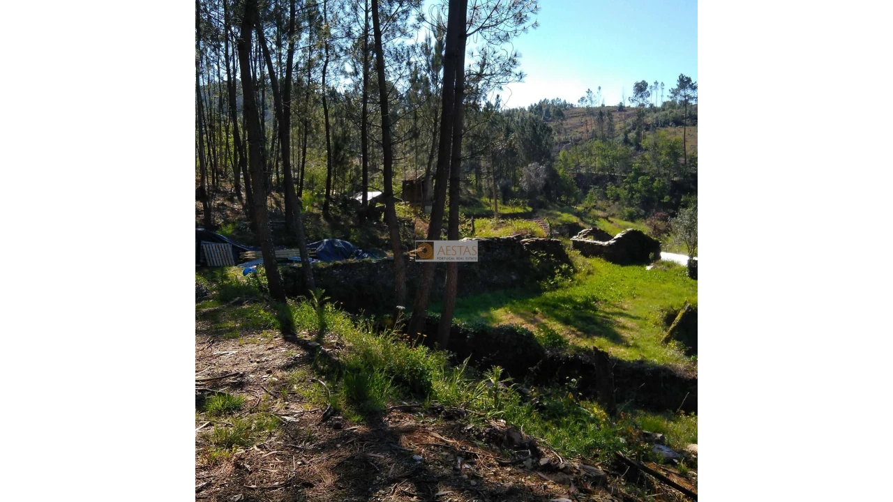 Terreno para Venda em Tropeço Foto 78