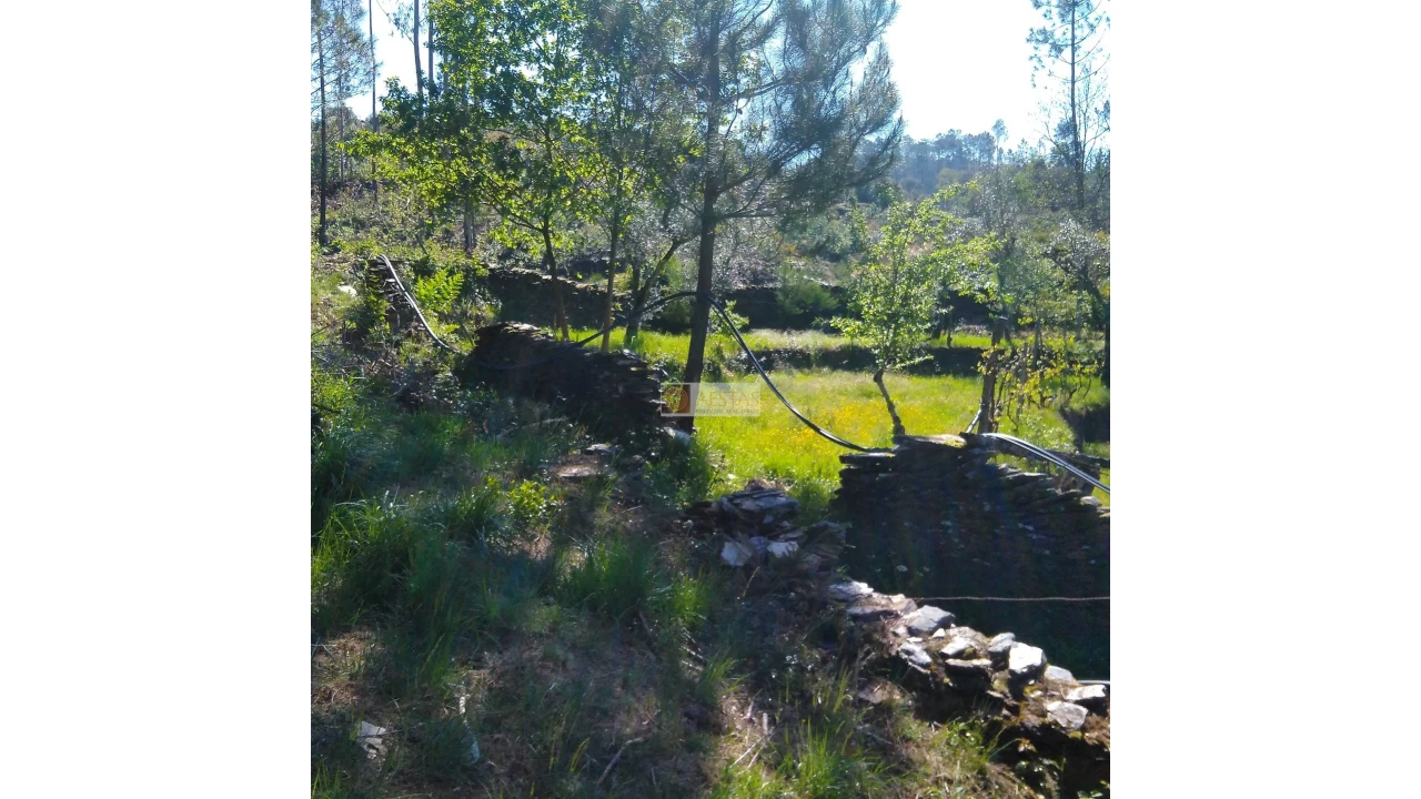 Terreno para Venda em Tropeço Foto 91