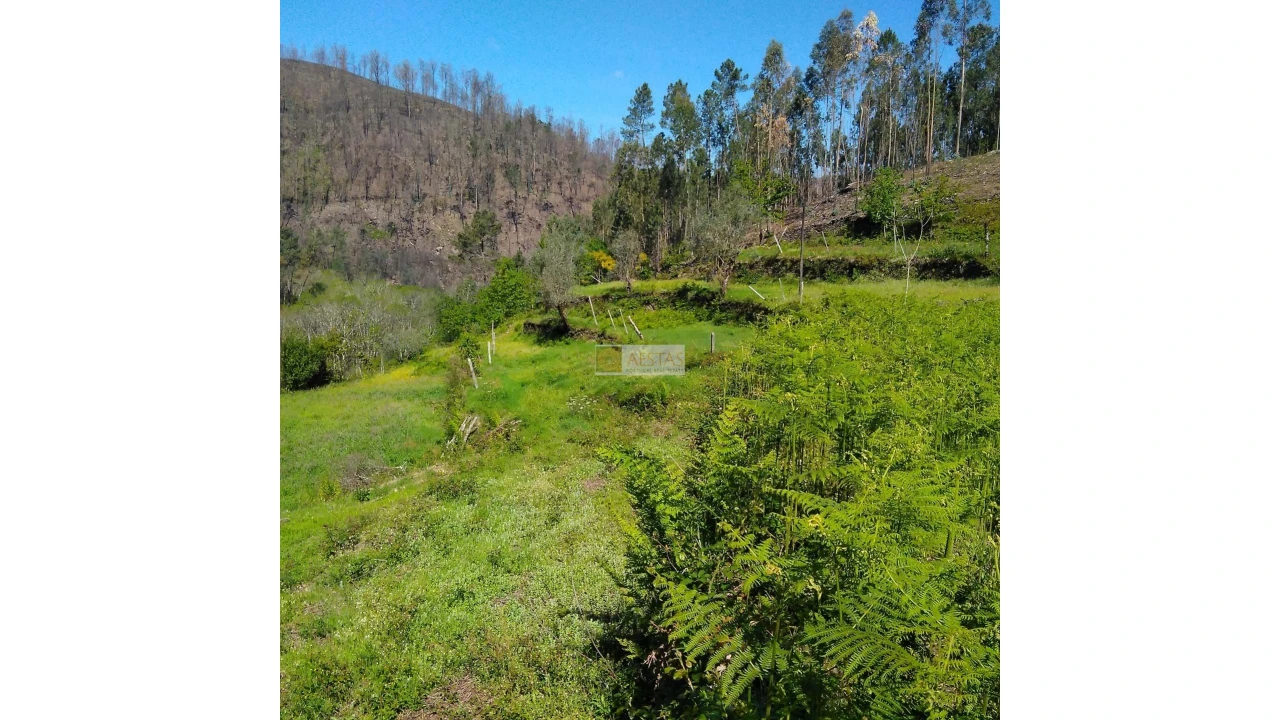 Terreno para Venda em Tropeço Foto 112