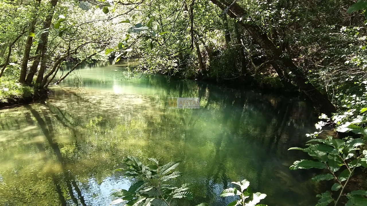 Terreno para Venda em Tropeço Foto 30