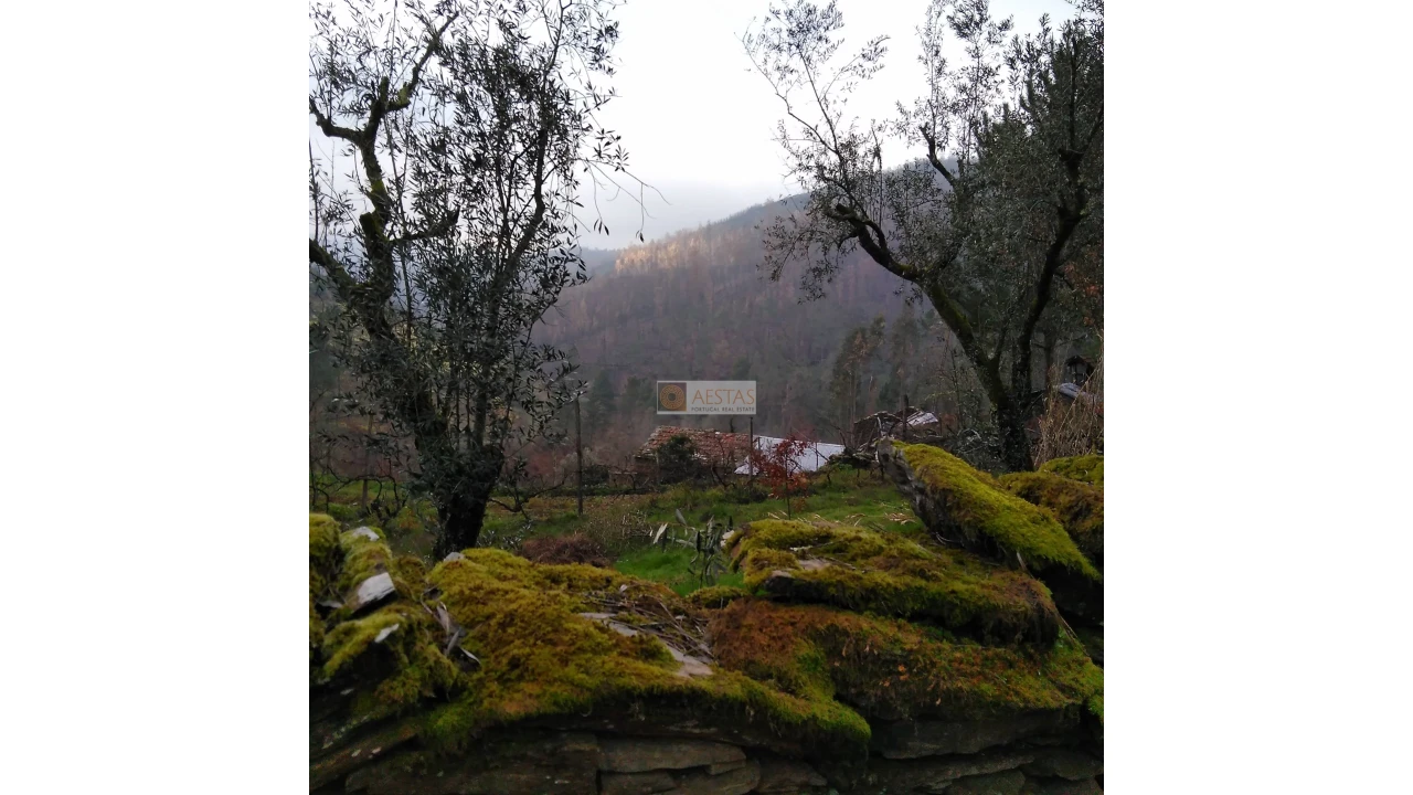 Terreno para Venda em Tropeço Foto 59