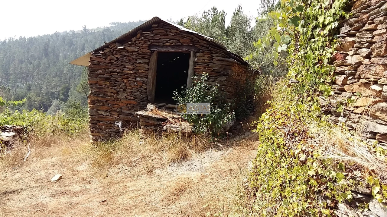 Terreno para Venda em Tropeço Foto 36