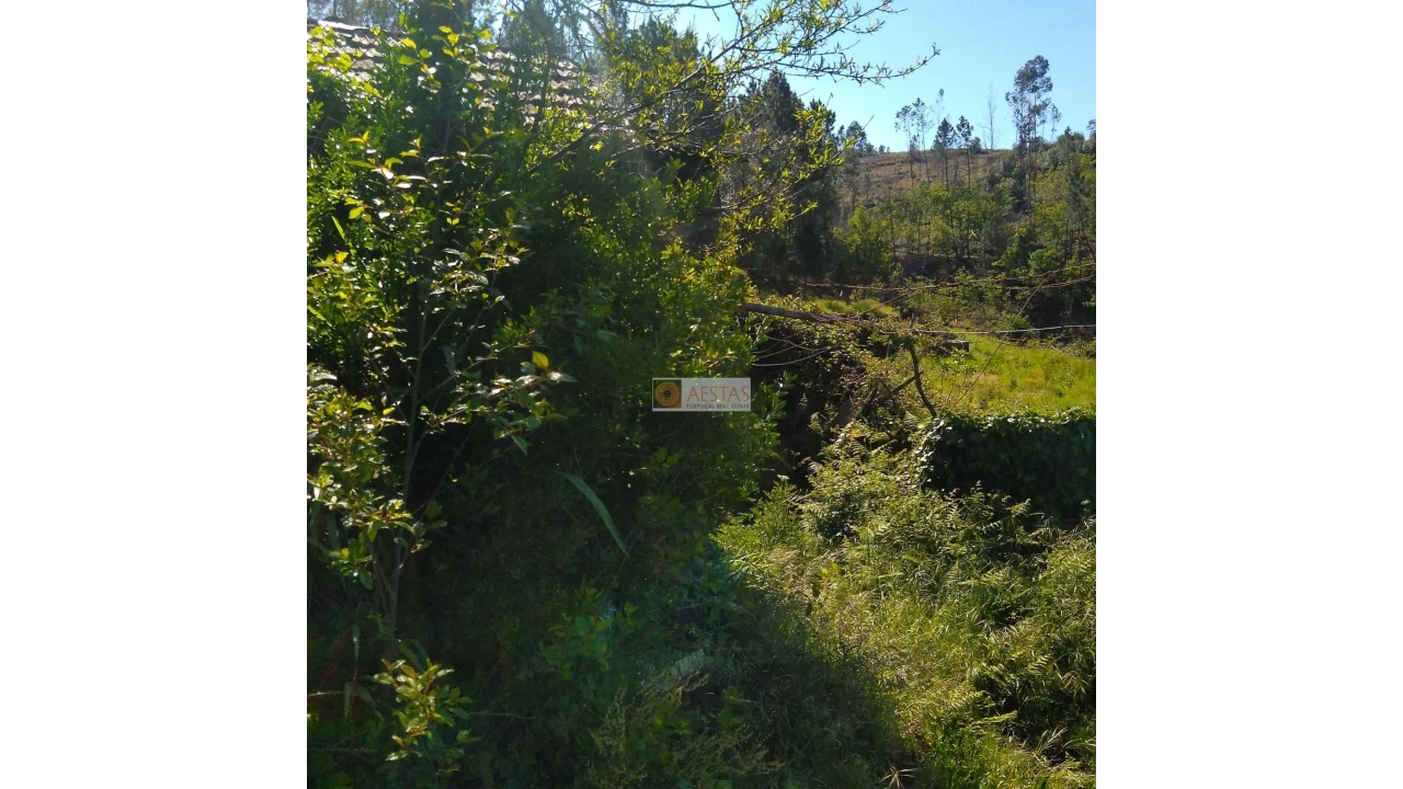 Terreno para Venda em Tropeço Foto 99