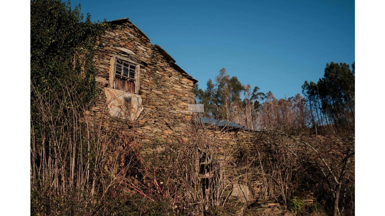 Terreno para Venda em Tropeço Foto 1