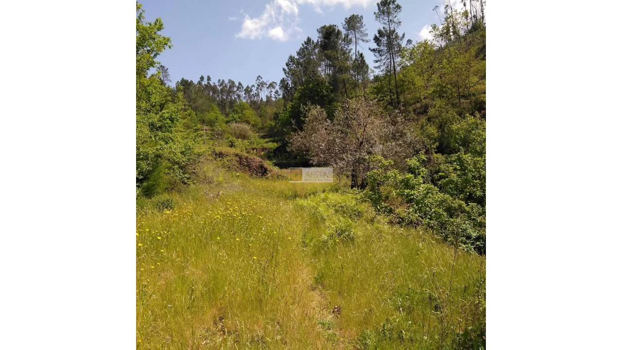 Terreno para Venda em Tropeço Foto 145