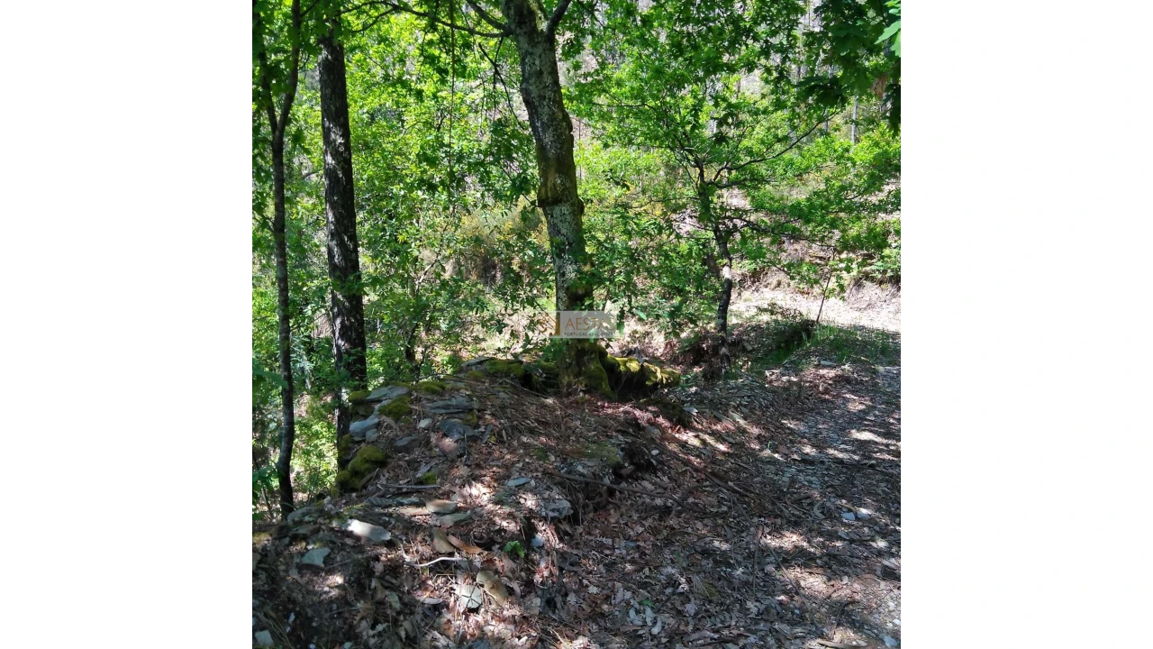 Terreno para Venda em Tropeço Foto 138