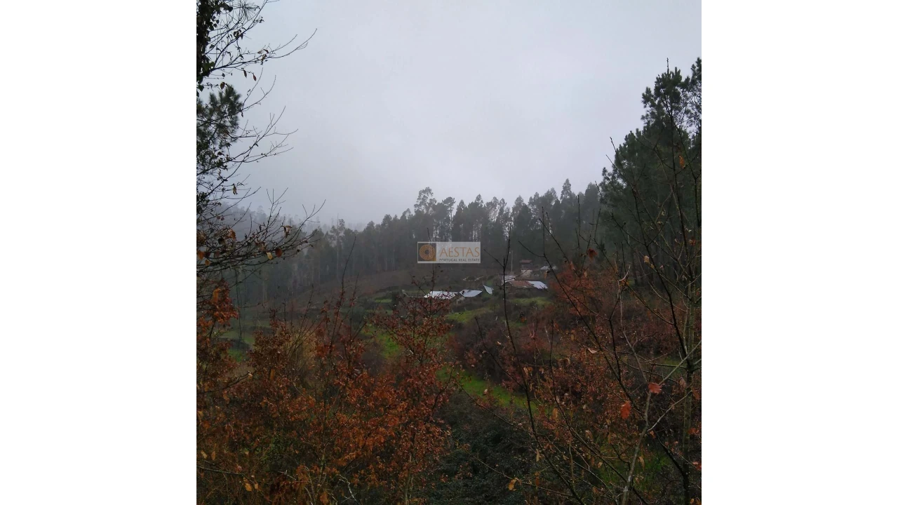 Terreno para Venda em Tropeço Foto 55
