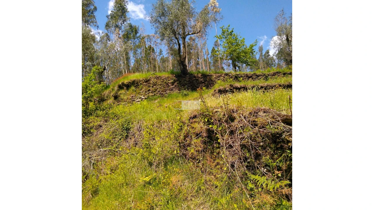 Terreno para Venda em Tropeço Foto 150