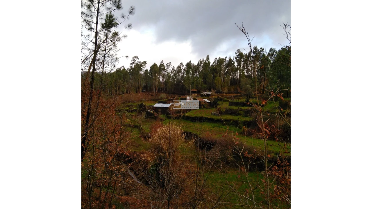 Terreno para Venda em Tropeço Foto 71