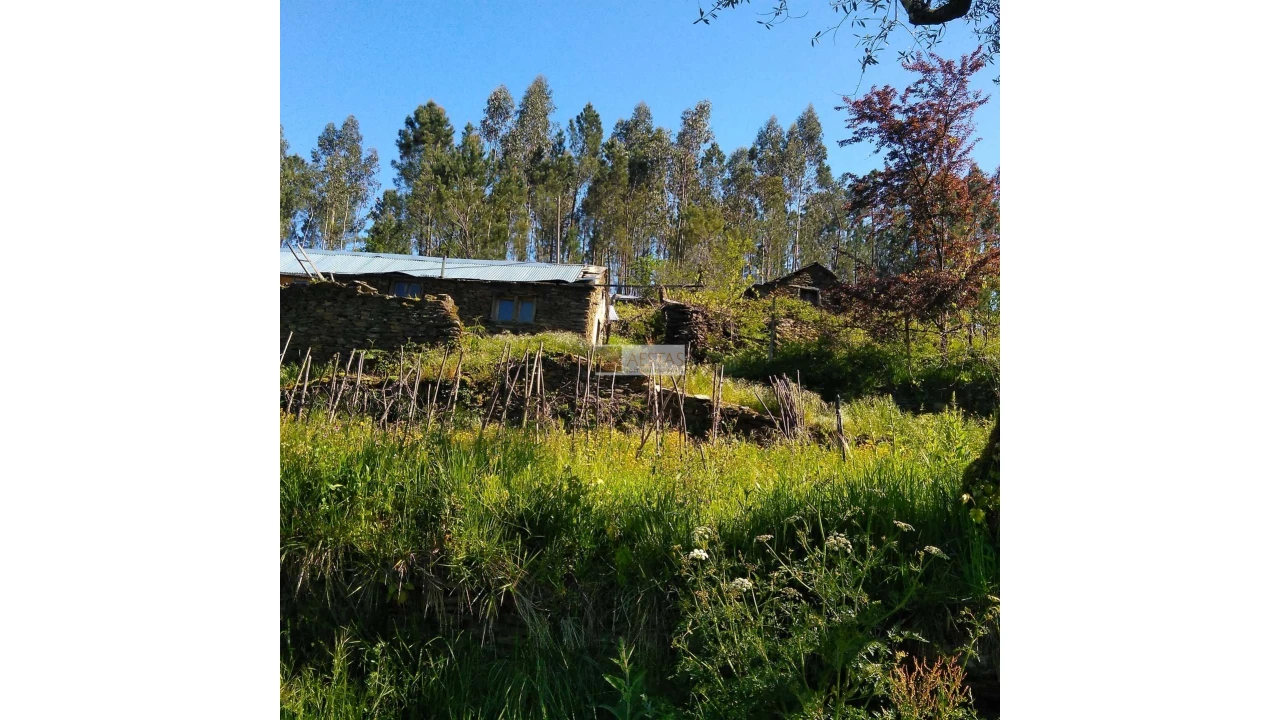 Terreno para Venda em Tropeço Foto 110
