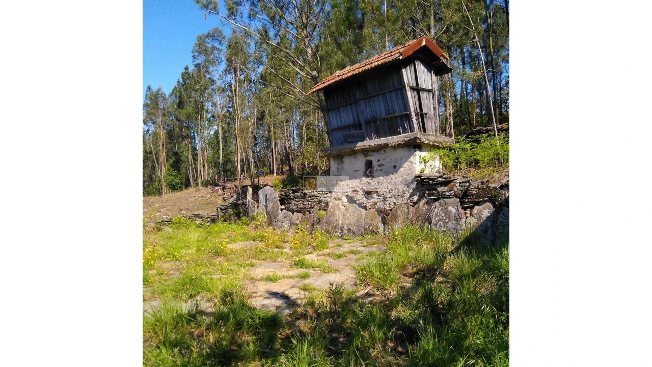 Terreno para Venda em Tropeço Foto 87