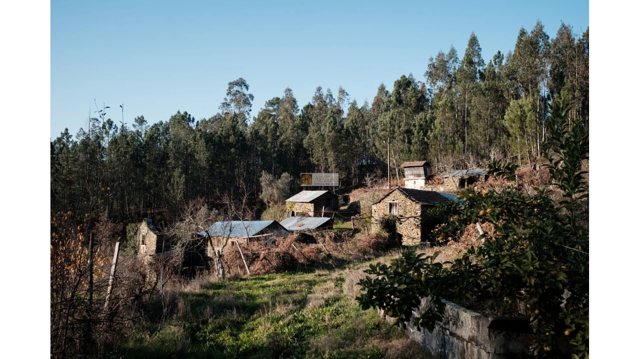 Terreno para Venda em Tropeço Foto 18