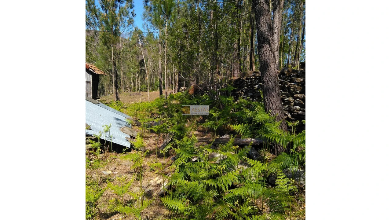 Terreno para Venda em Tropeço Foto 90