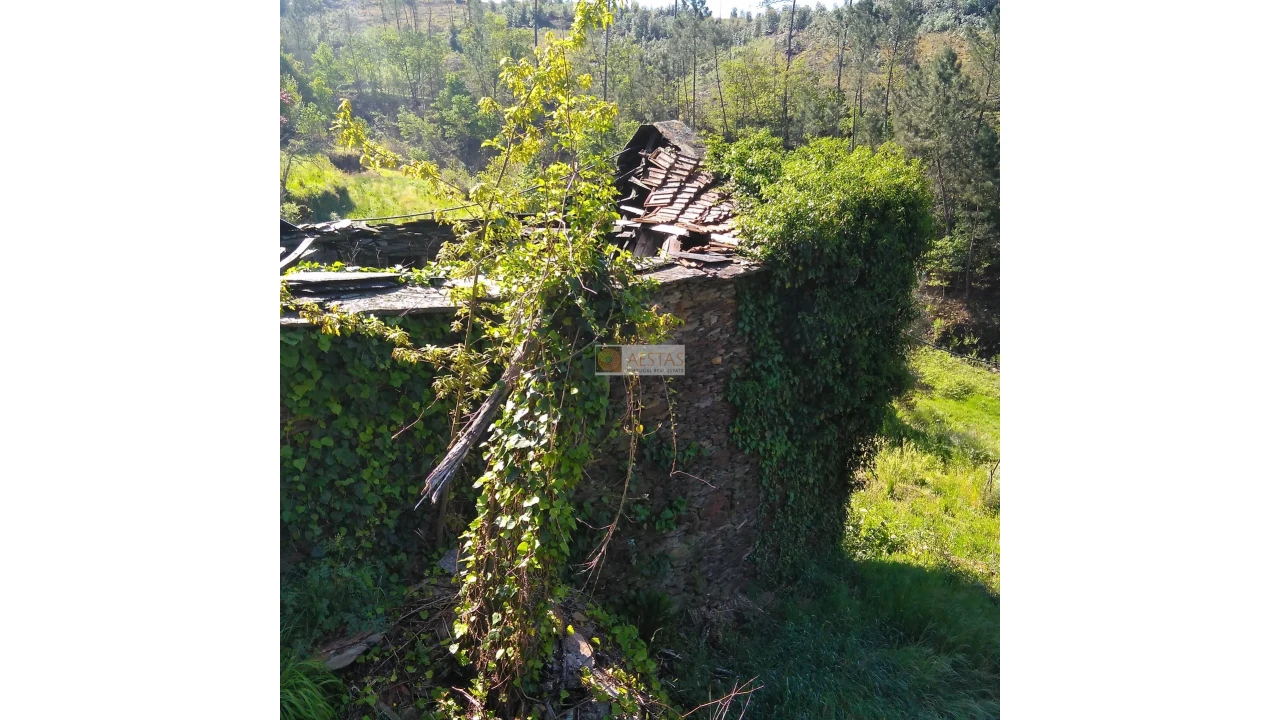 Terreno para Venda em Tropeço Foto 98