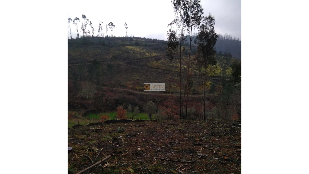 Terreno para Venda em Tropeço Foto 57