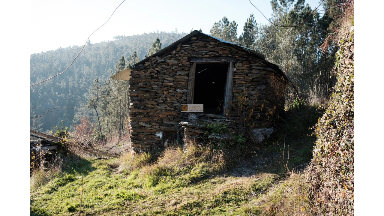Terreno para Venda em Tropeço Foto 9