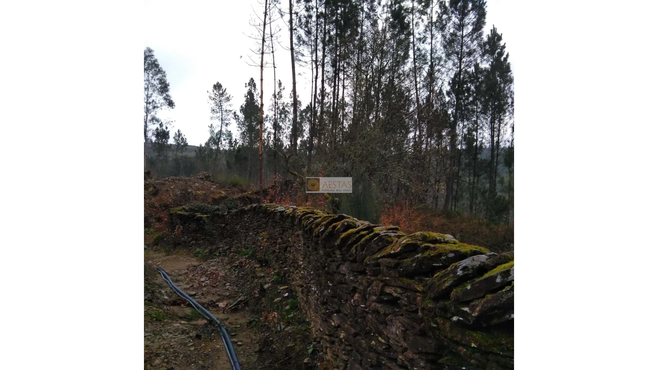 Terreno para Venda em Tropeço Foto 61
