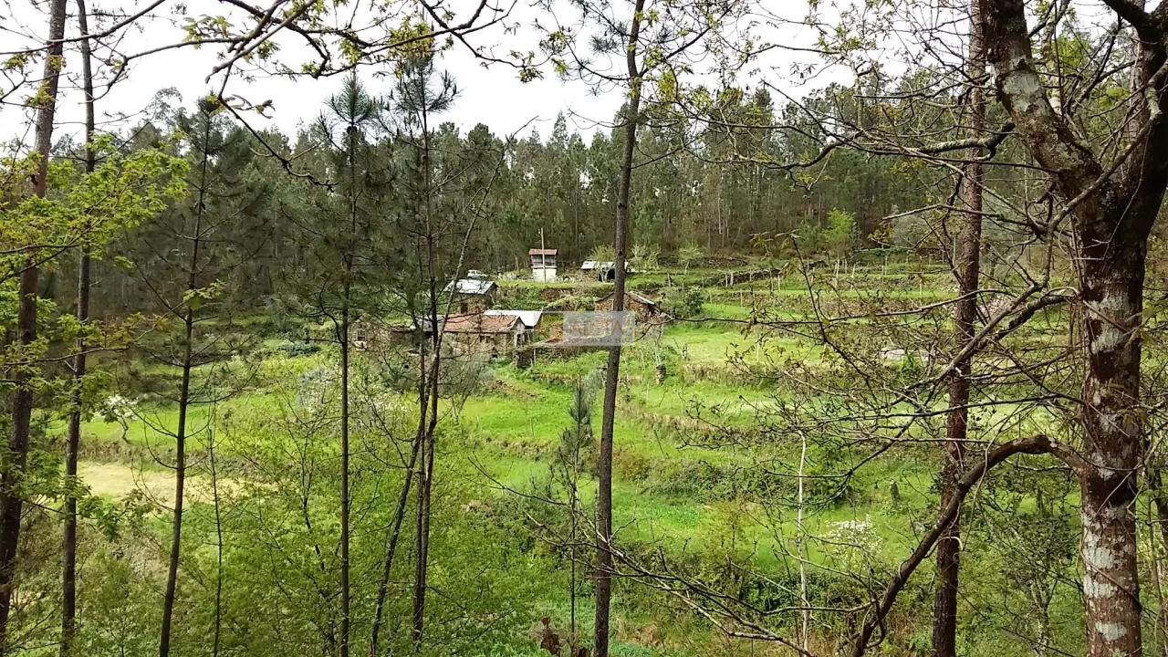 Terreno para Venda em Tropeço Foto 26