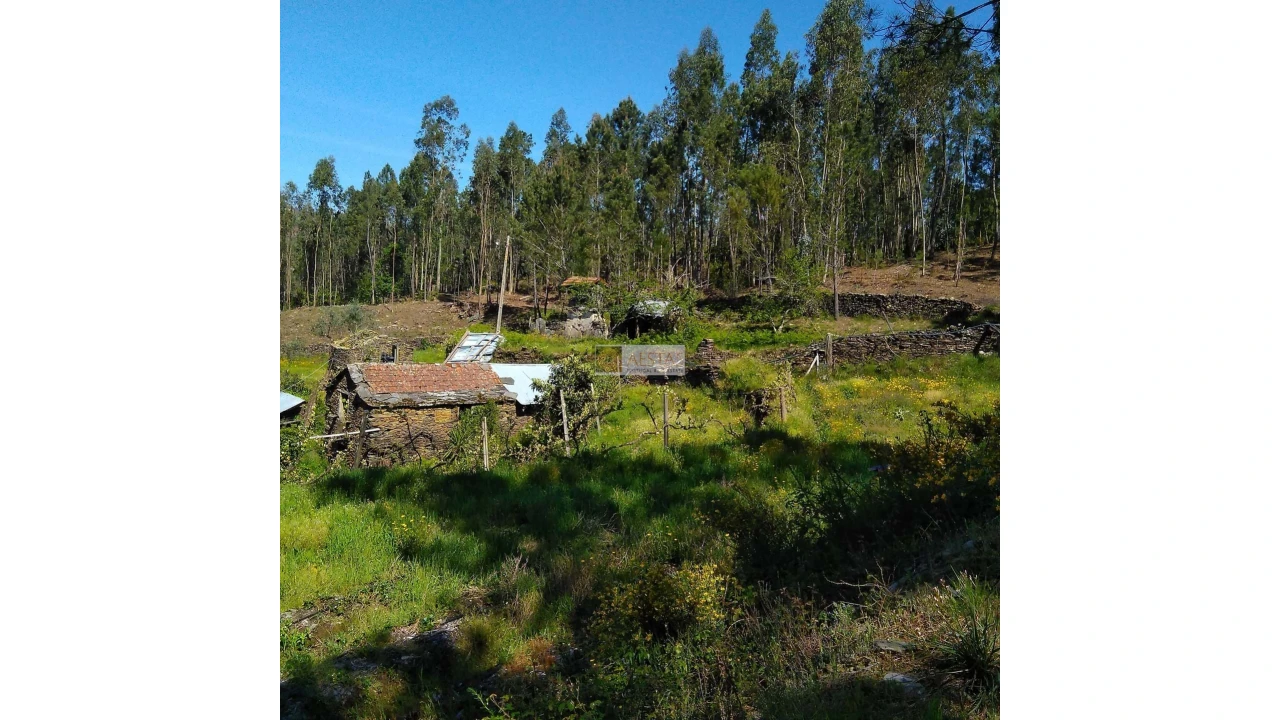 Terreno para Venda em Tropeço Foto 128