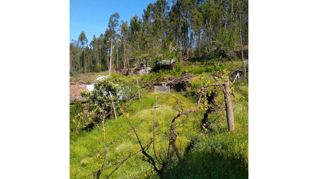 Terreno para Venda em Tropeço Foto 122