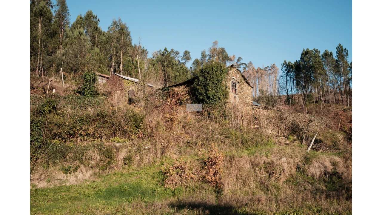 Terreno para Venda em Tropeço Foto 22