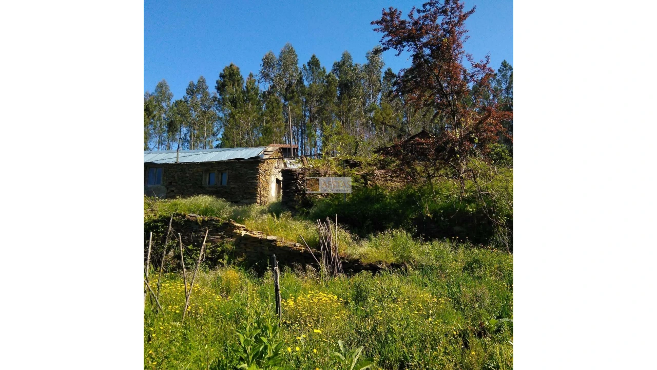 Terreno para Venda em Tropeço Foto 117