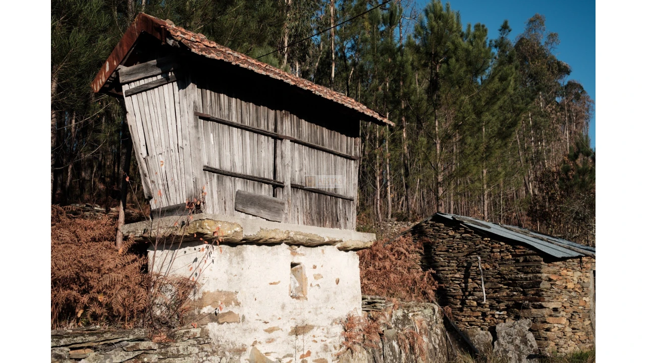 Terreno para Venda em Tropeço Foto 4