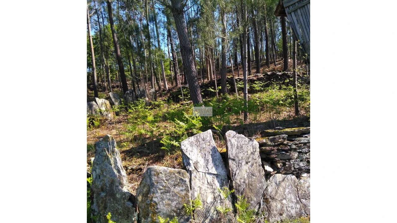 Terreno para Venda em Tropeço Foto 85