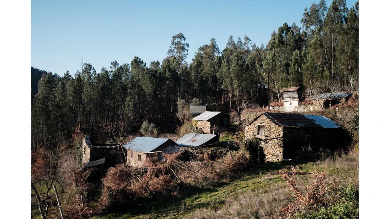 Terreno para Venda em Tropeço Foto 2